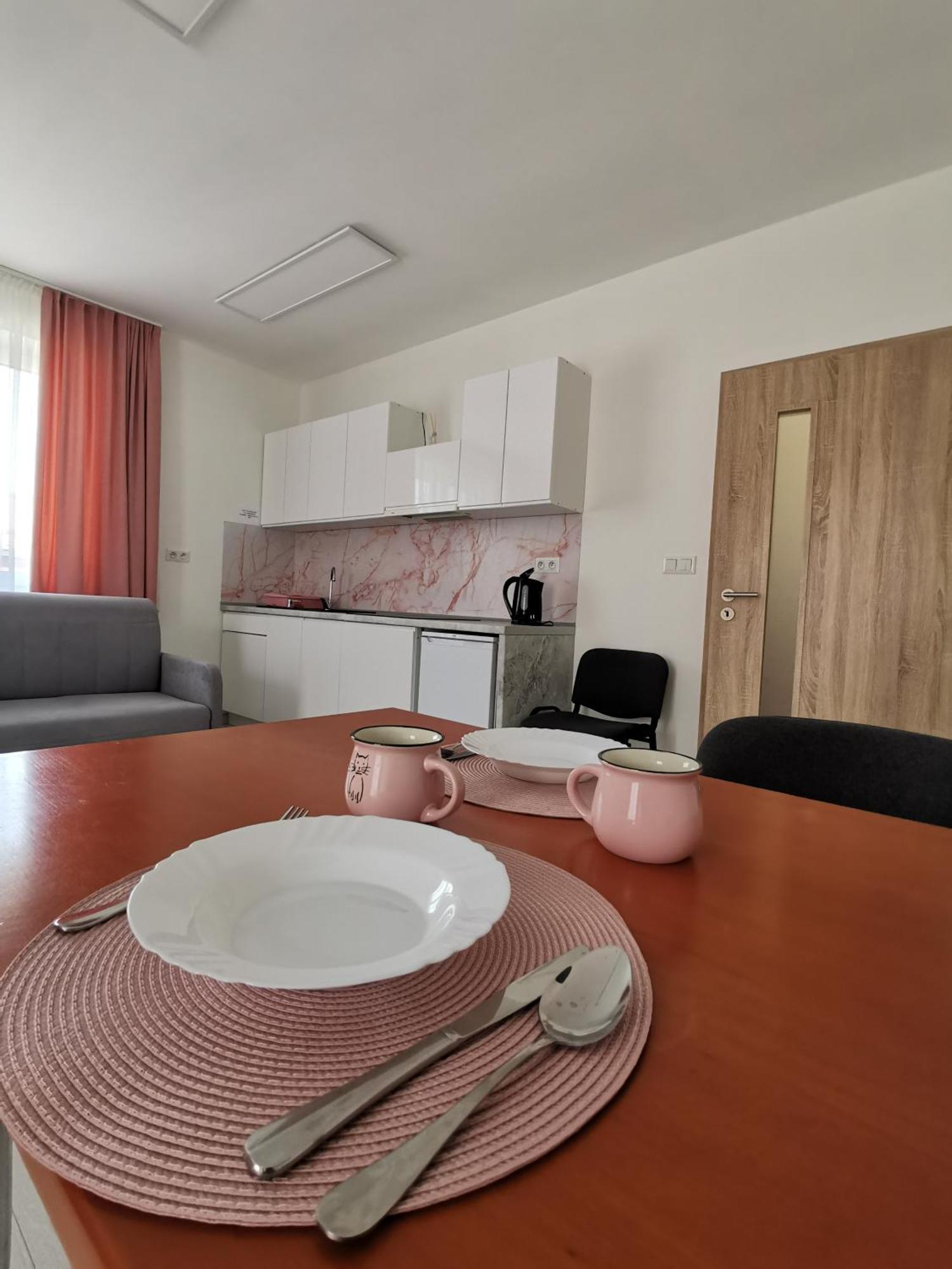 Comenius Apartments - Apartmany Na Rohu Svidnik Bagian luar foto
